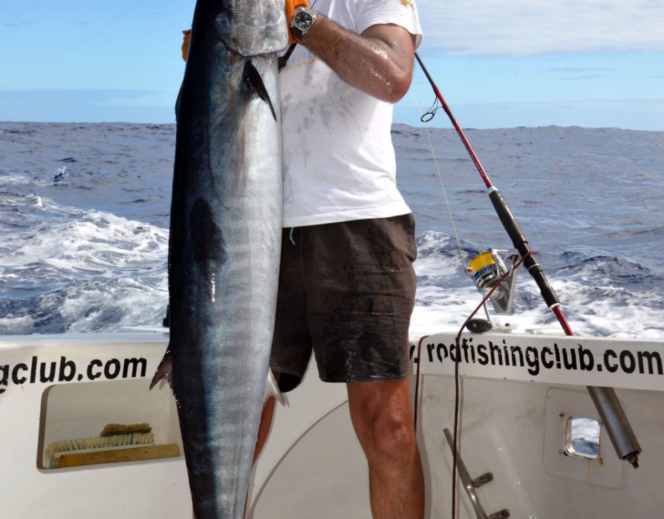 Wahoo or Acanthocybium solandri - Rod Fishing Club - Rodrigues Island - Mauritius - Indian Ocean