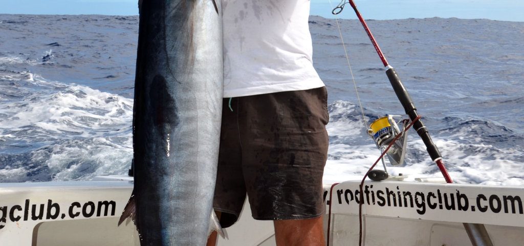 Wahoo ou Acanthocybium solandri - Rod Fishing Club - Ile Rodrigues - Maurice - Océan Indien