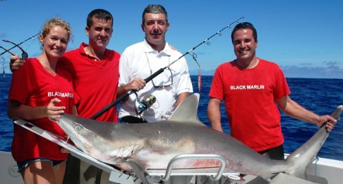 Whitetip shark on jigging for Louis - Rod Fishing Club - Rodrigues Island - Mauritius - Indian Ocean