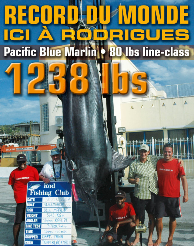 World record of pacific blue marlin on 80lbs of 561.5kg - Rod Fishing Club - Rodrigues Island - Mauritius - Indian Ocean