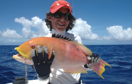 Yellow head wrasse on jigging - Rod Fishing Club - Rodrigues Island - Mauritius - Indian Ocean