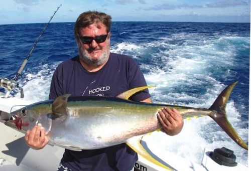 Yellowfin tuna caught on trolling - Rod Fishing Club - Rodrigues Island - Mauritius - Indian Ocean