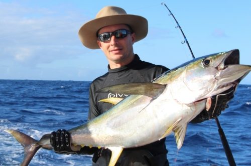 Yellowfin tuna on trolling - Rod Fishing Club - Rodrigues Island - Mauritius - Indian Ocean