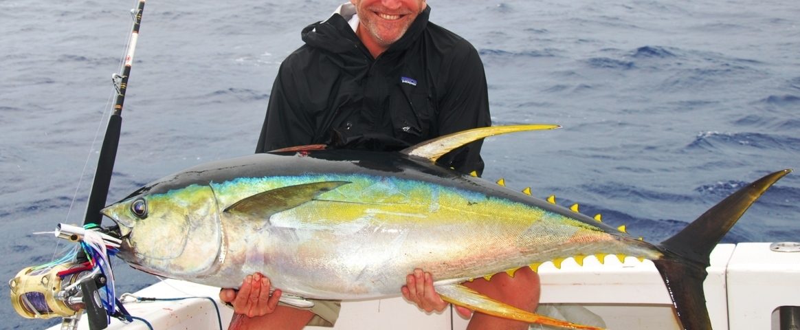 Yellowfin tuna or Thunnus albacares - Rod Fishing Club - Rodrigues Island - Mauritius - Indian Ocean