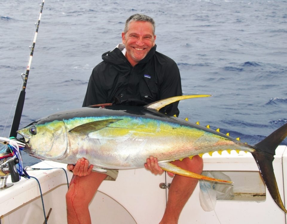 Yellowfin tuna or Thunnus albacares - Rod Fishing Club - Rodrigues Island - Mauritius - Indian Ocean
