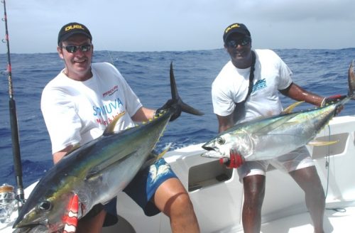 Yellowfin tunas around 30kg on Heavy Spinning - Rod Fishing Club - Rodrigues Island - Mauritius - Indian Ocean