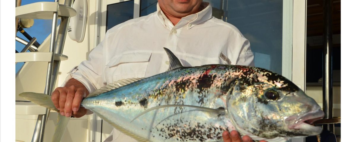 Yellowspotted trevally - Rod Fishing Club - Rodrigues Island - Mauritius - Indian Ocean
