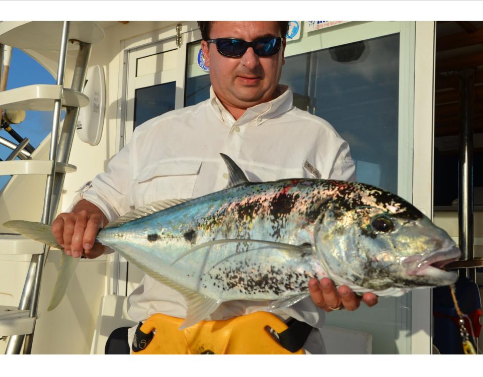 Yellowspotted trevally - Rod Fishing Club - Rodrigues Island - Mauritius - Indian Ocean