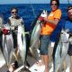 belle brochette de thons jaunes - Rod Fishing Club - Ile Rodrigues - Maurice - Océan Indien