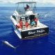 black marlin on quadcopter - Rod Fishing Club - Rodrigues Island - Mauritius - Indian Ocean