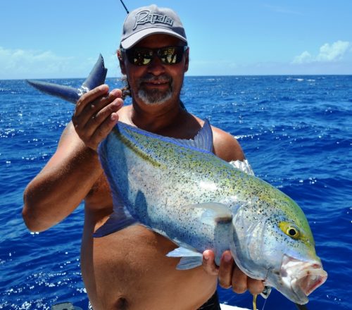 bluefin trevally on jigging - Rod Fishing Club - Rodrigues Island - Mauritius - Indian Ocean