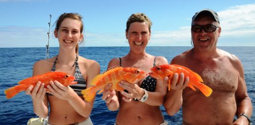 family groupers on bottomfishing- Rod Fishing Club - Rodrigues Island - Mauritius - Indian Ocean