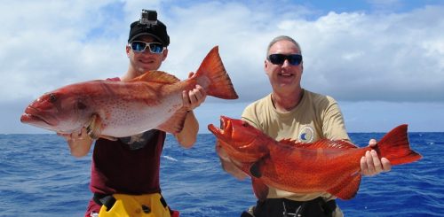 grouper coral trout - Rod Fishing Club - Rodrigues Island - Mauritius - Indian Ocean