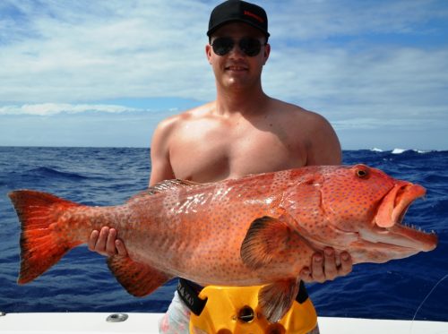 grouper coral trout - Rod Fishing Club - Rodrigues Island - Mauritius - Indian Ocean