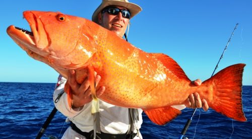 grouper on jigging - Rod Fishing Club - Rodrigues Island - Mauritius - Indian Ocean