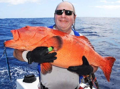 grouper on jigging - Rod Fishing Club - Rodrigues Island - Mauritius - Indian Ocean