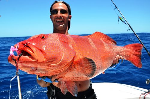 grouper on jigging - Rod Fishing Club - Rodrigues Island - Mauritius - Indian Ocean