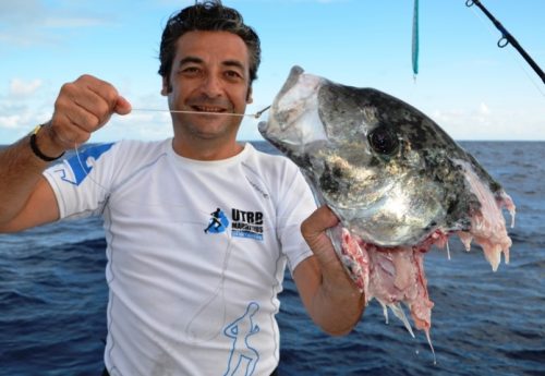 head of trevally after shark - Rod Fishing Club - Rodrigues Island - Mauritius - Indian Ocean