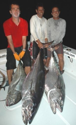 les 3 thons à dents de chien de plus de 50kg - Rod Fishing Club - Ile Rodrigues - Maurice - Océan Indien