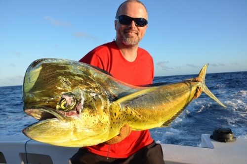 male dorado for Jerome - Rod Fishing Club - Rodrigues Island - Mauritius - Indian Ocean