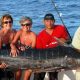 marlin bleu - Rod Fishing Club - Ile Rodrigues - Maurice - Océan Indien