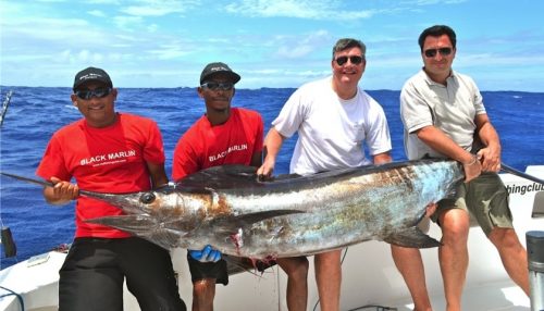 marlin bleu - Rod Fishing Club - Ile Rodrigues - Maurice - Océan Indien