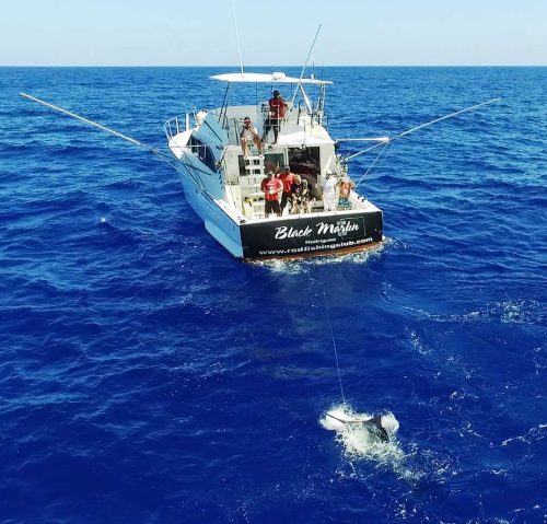 marlin fighting by quadcopter - Rod Fishing Club - Rodrigues Island - Mauritius - Indian Ocean