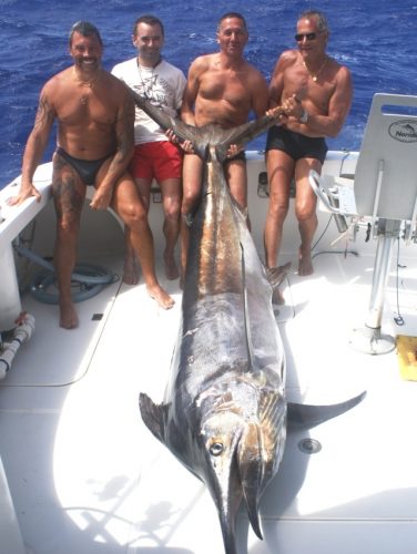 marlin noir 200kg- Rod Fishing Club - Ile Rodrigues - Maurice - Océan Indien