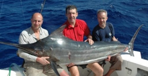 marlin noir - Rod Fishing Club - Ile Rodrigues - Maurice - Océan Indien