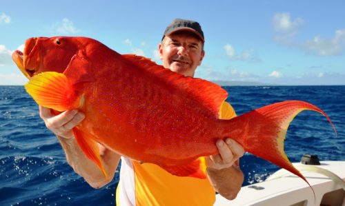 moontail sea bass - Rod Fishing Club - Rodrigues Island - Mauritius - Indian Ocean