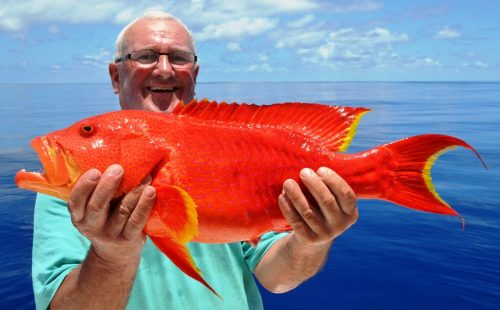 moontail sea bass - Rod Fishing Club - Rodrigues Island - Mauritius - Indian Ocean