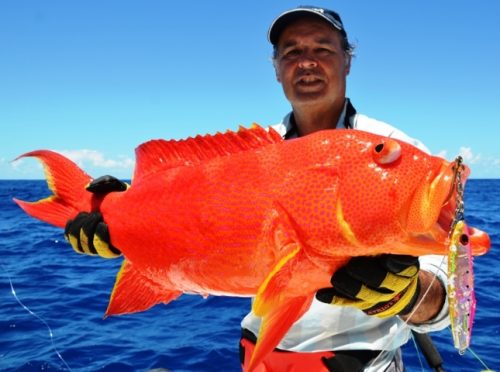 moontail sea bass on jigging - Rod Fishing Club - Rodrigues Island - Mauritius - Indian Ocean