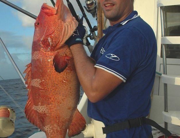 mérou babone - Rod Fishing Club - Ile Rodrigues - Maurice - Océan Indien