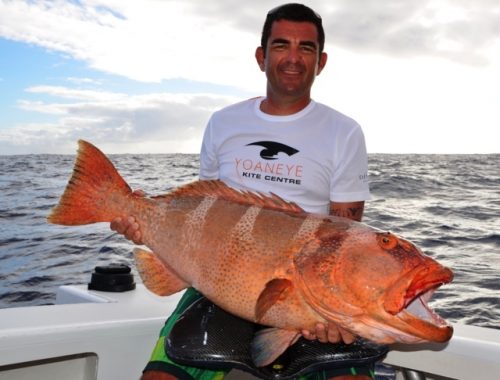 red coral trout - Rod Fishing Club - Rodrigues Island - Mauritius - Indian Ocean