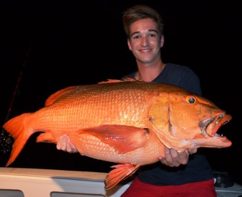 red snapper - Rod Fishing Club - Rodrigues Island - Mauritius - Indian Ocean
