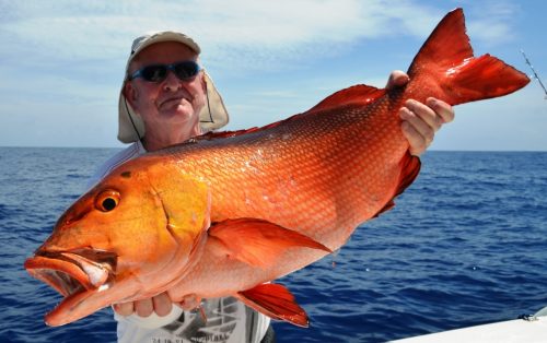 red snapper - Rod Fishing Club - Rodrigues Island - Mauritius - Indian Ocean