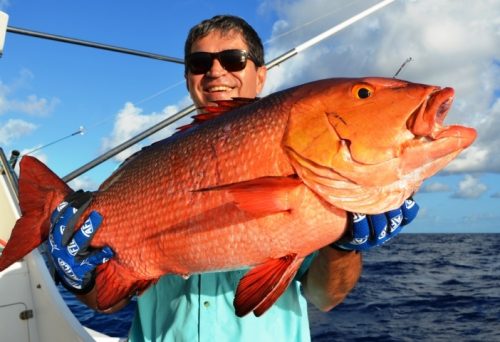 red snapper on baiting - Rod Fishing Club - Rodrigues Island - Mauritius - Indian Ocean