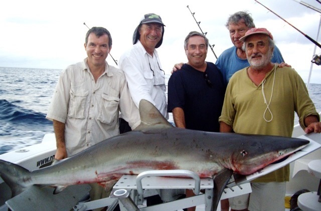 requin gris - Rod Fishing Club - Ile Rodrigues - Maurice - Océan Indien