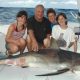 requin pointe blanche - Rod Fishing Club - Ile Rodrigues - Maurice - Océan Indien