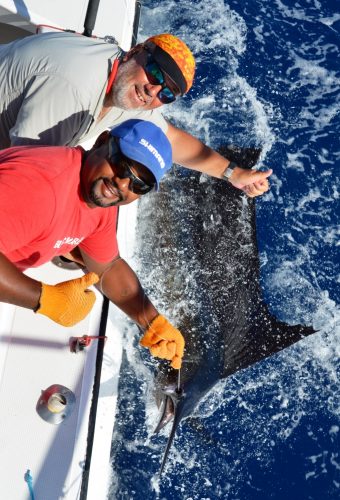 sailfish released - Rod Fishing Club - Rodrigues Island - Mauritius - Indian Ocean