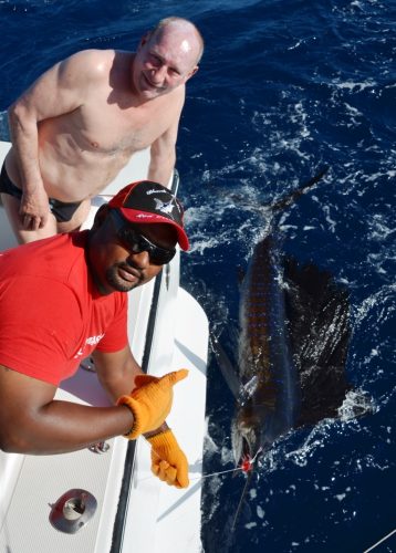 sailfish released - Rod Fishing Club - Rodrigues Island - Mauritius - Indian Ocean
