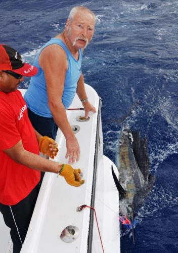 sailfish released by Dré - Rod Fishing Club - Rodrigues Island - Mauritius - Indian Ocean