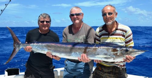 spearfish - Rod Fishing Club - Rodrigues Island - Mauritius - Indian Ocean