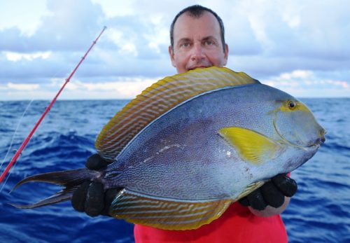 surgeon fish on baiting - Rod Fishing Club - Rodrigues Island - Mauritius - Indian Ocean