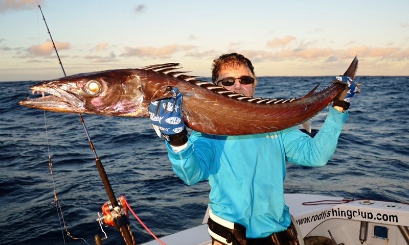 the famous black snoek - Rod Fishing Club - Rodrigues Island - Mauritius - Indian Ocean