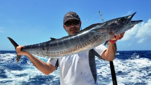 wahoo - Rod Fishing Club - Rodrigues Island - Mauritius - Indian Ocean