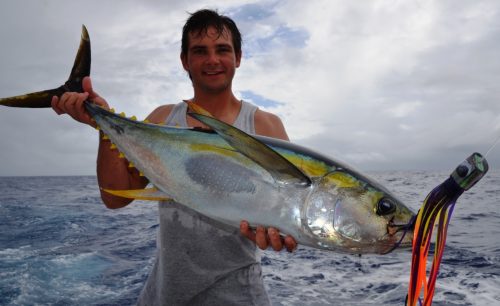 yellowfin tuna on BigT lure - Rod Fishing Club - Rodrigues Island - Mauritius - Indian Ocean