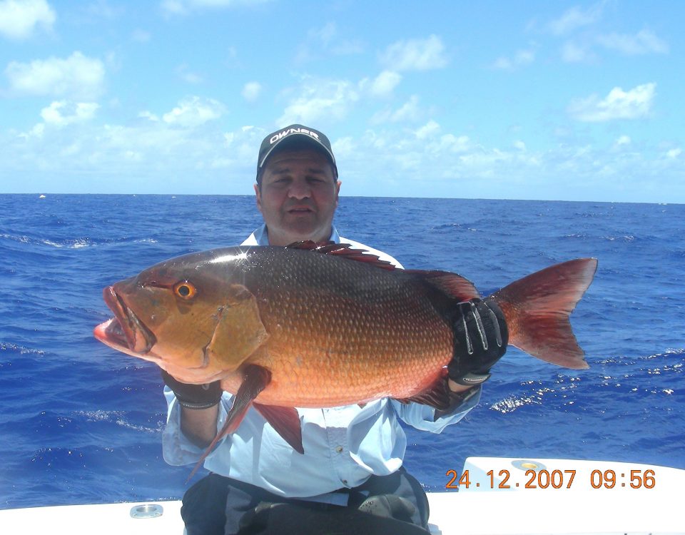 13.5kg two spot red snapper world record all tackle on baiting - 24 12 2007