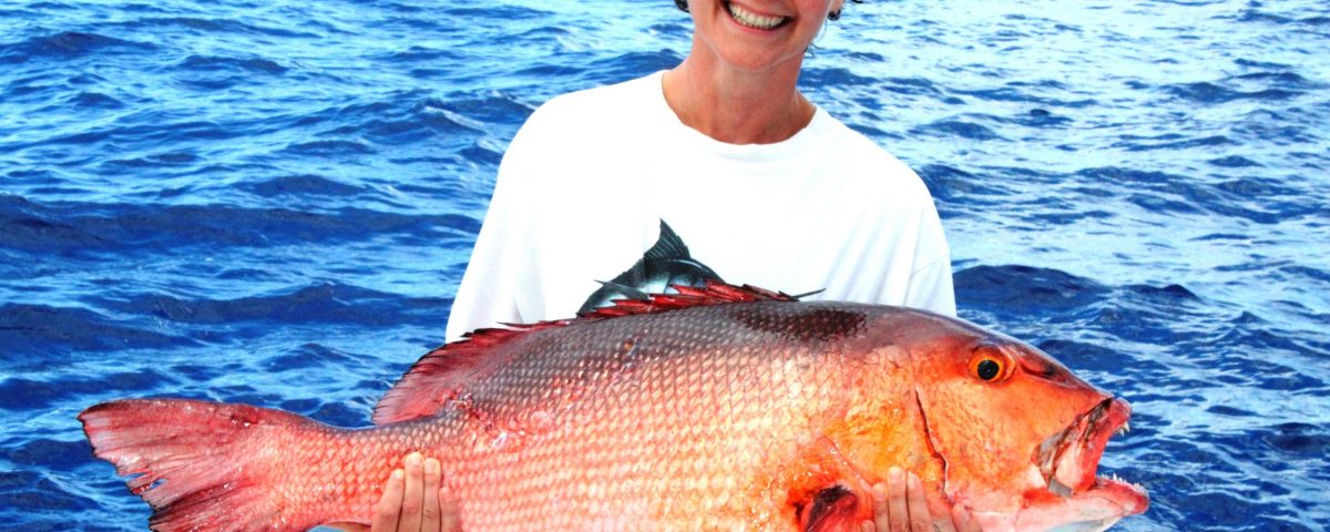 14.5kg two spot red snapper world record all tackle on baiting - 25 11 2012