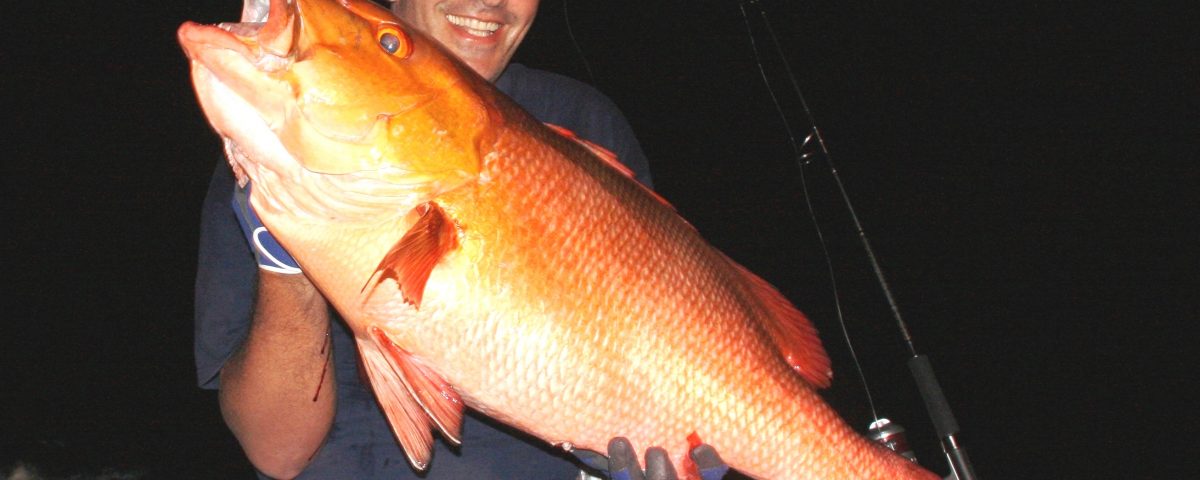 14kg two spot red snapper world record all tackle on baiting - 12 11 2009